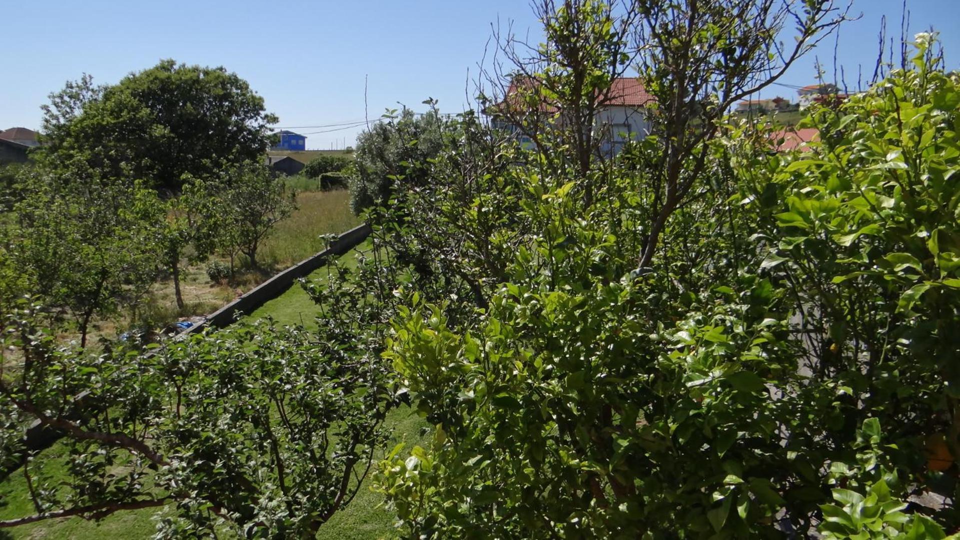 Casa De Lolo En Larino Villa Carnota Luaran gambar
